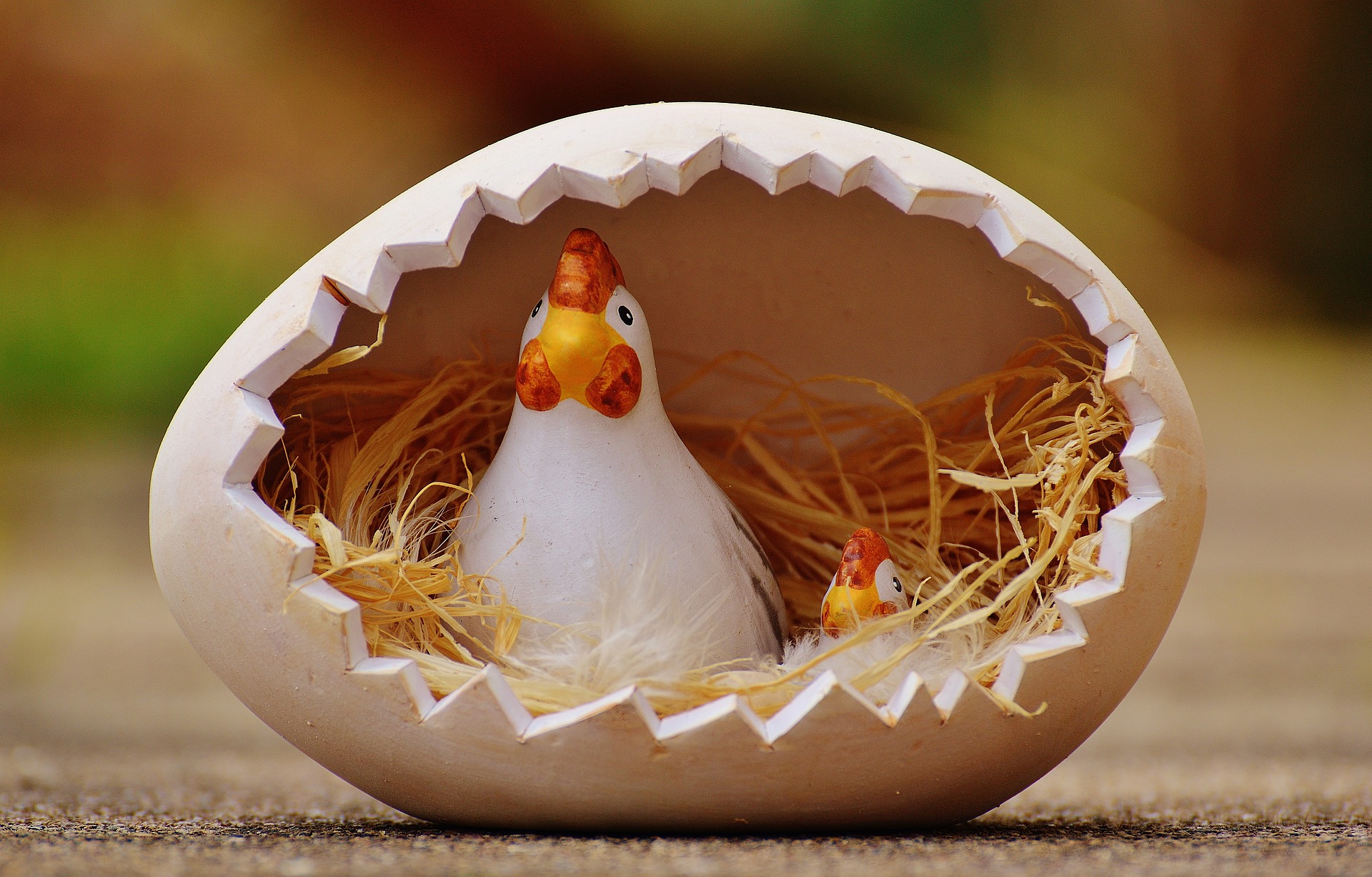 chicken in egg